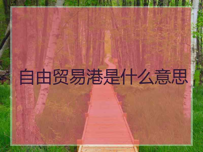 自由贸易港是什么意思