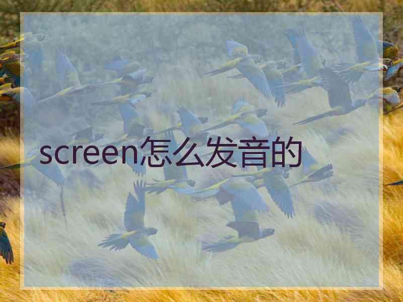screen怎么发音的