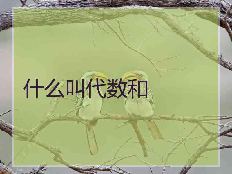 什么叫代数和