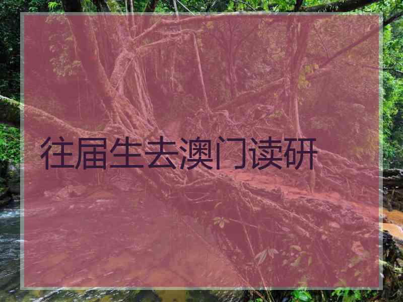 往届生去澳门读研