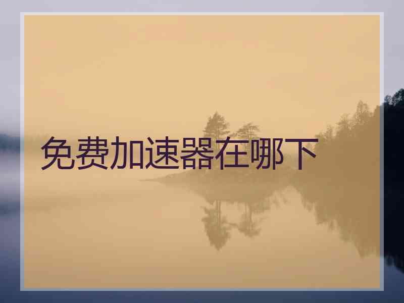 免费加速器在哪下