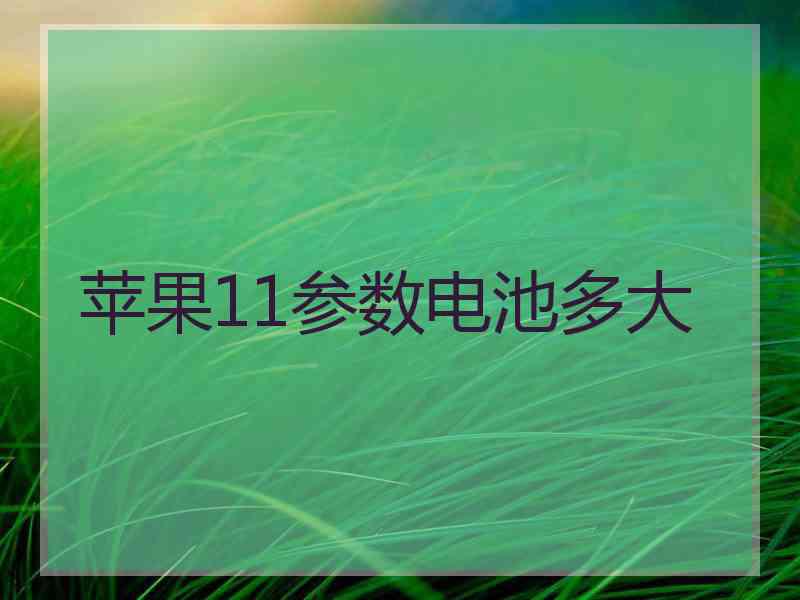苹果11参数电池多大