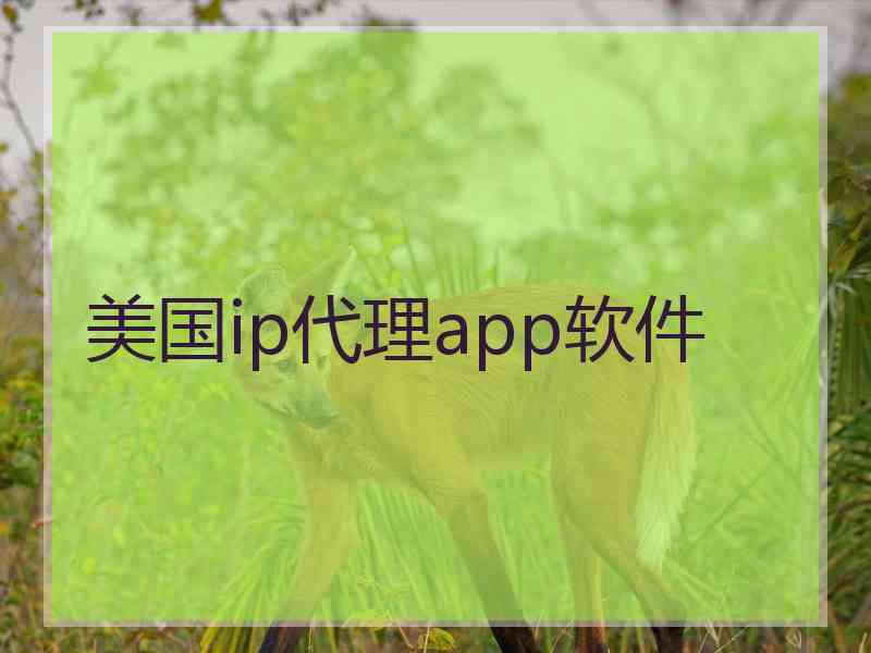 美国ip代理app软件