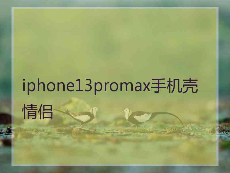 iphone13promax手机壳情侣