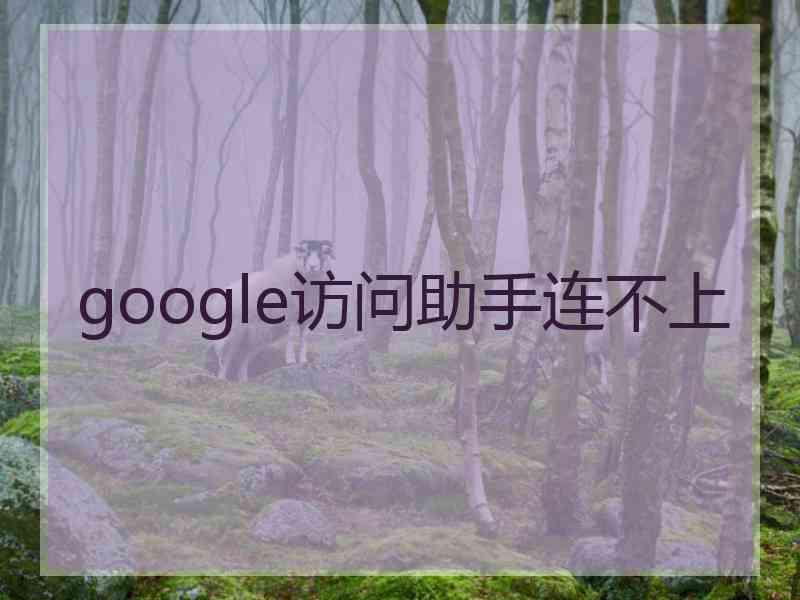 google访问助手连不上