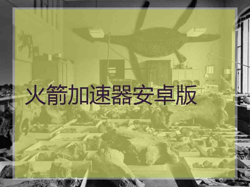 火箭加速器安卓版