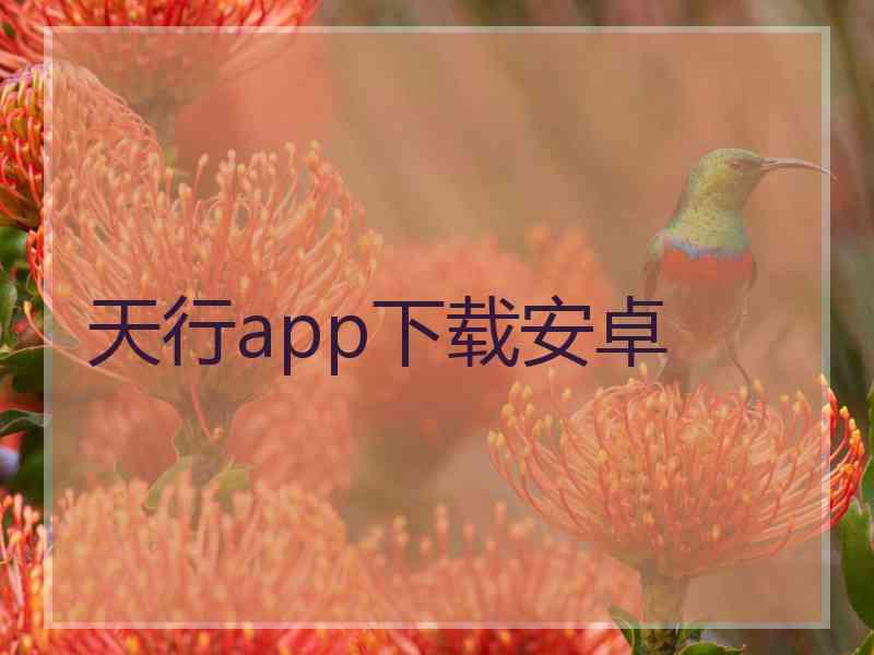 天行app下载安卓