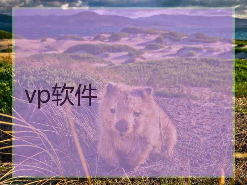vp软件
