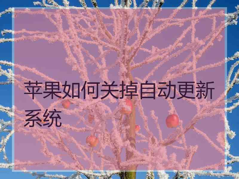 苹果如何关掉自动更新系统