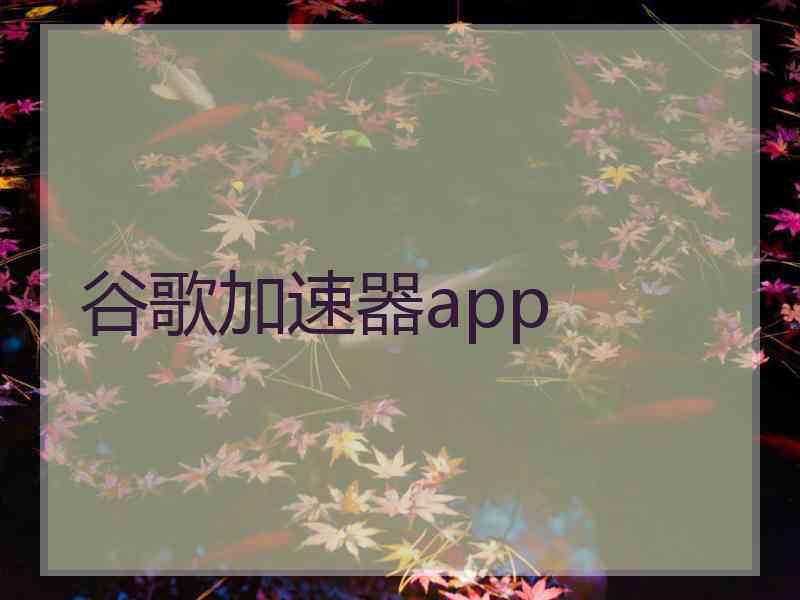 谷歌加速器app