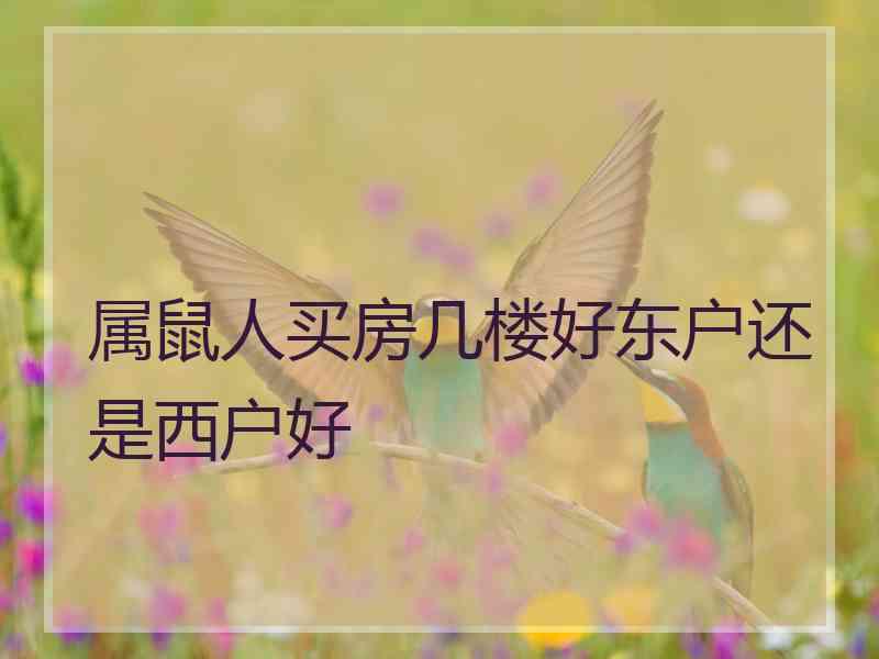 属鼠人买房几楼好东户还是西户好