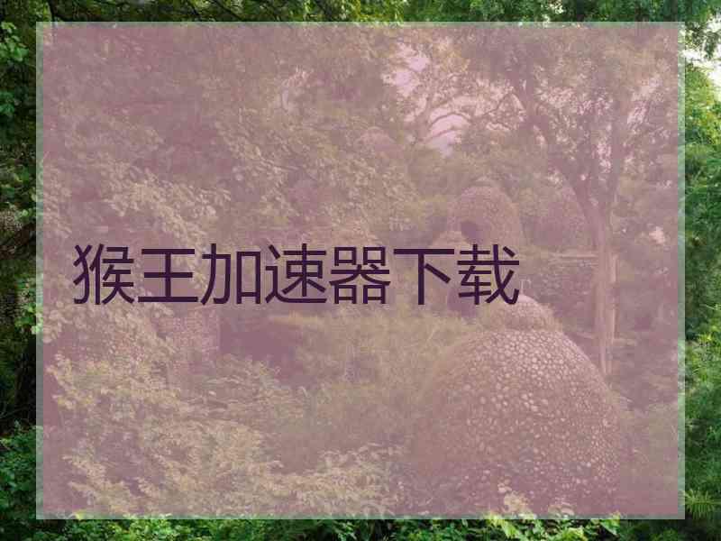 猴王加速器下载