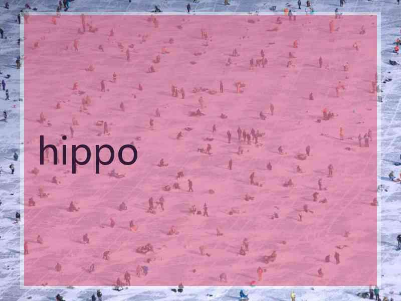 hippo