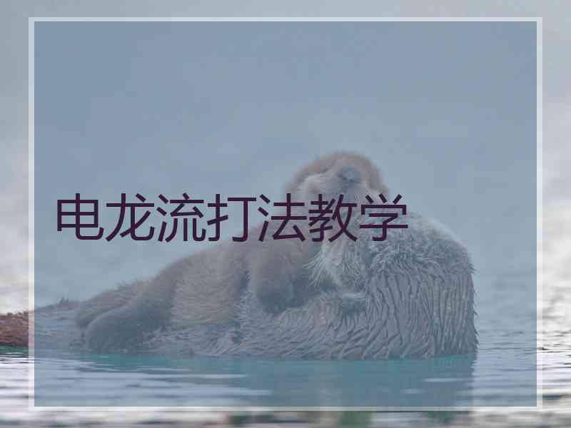 电龙流打法教学
