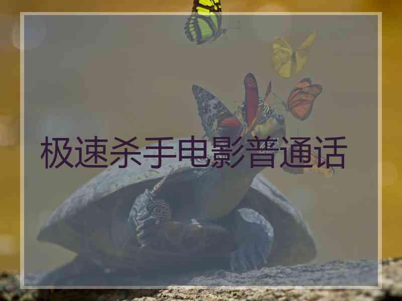 极速杀手电影普通话