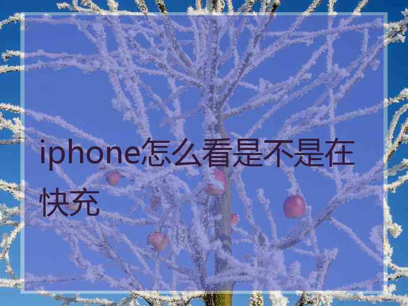 iphone怎么看是不是在快充