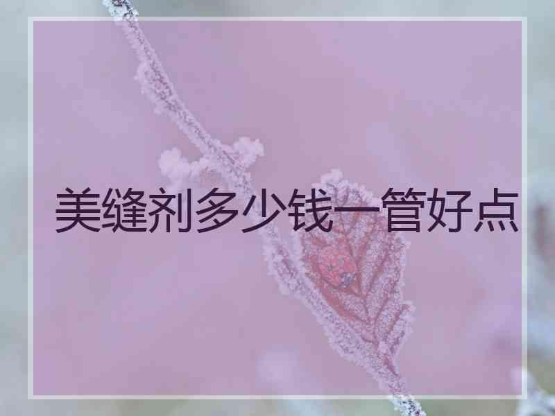 美缝剂多少钱一管好点