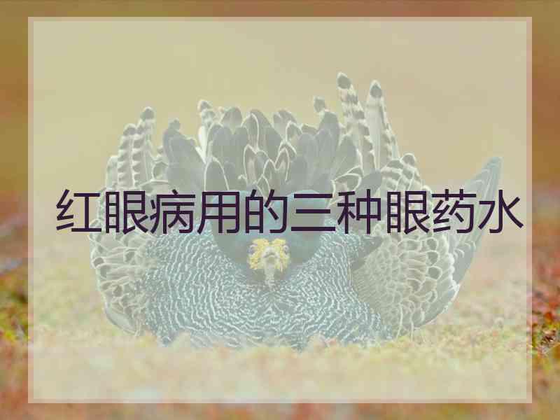红眼病用的三种眼药水