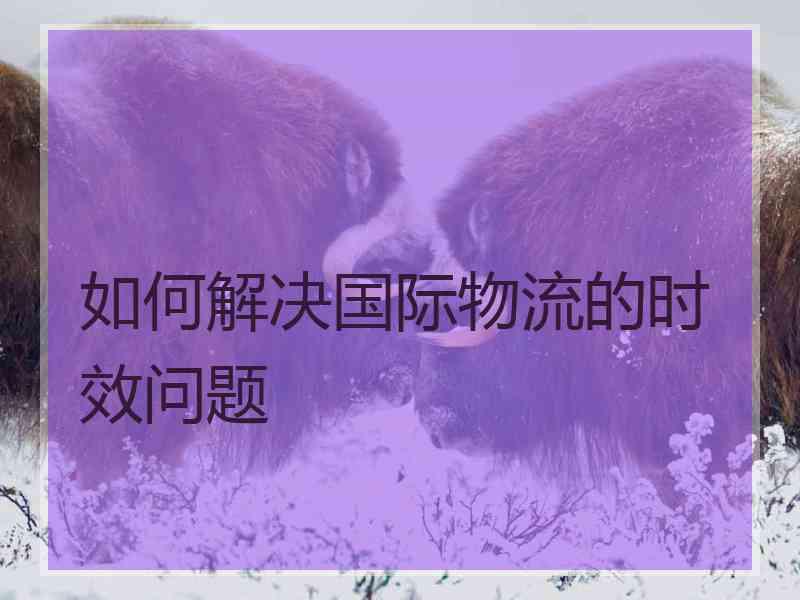 如何解决国际物流的时效问题