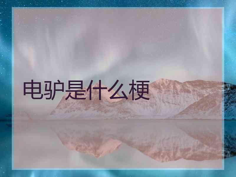 电驴是什么梗