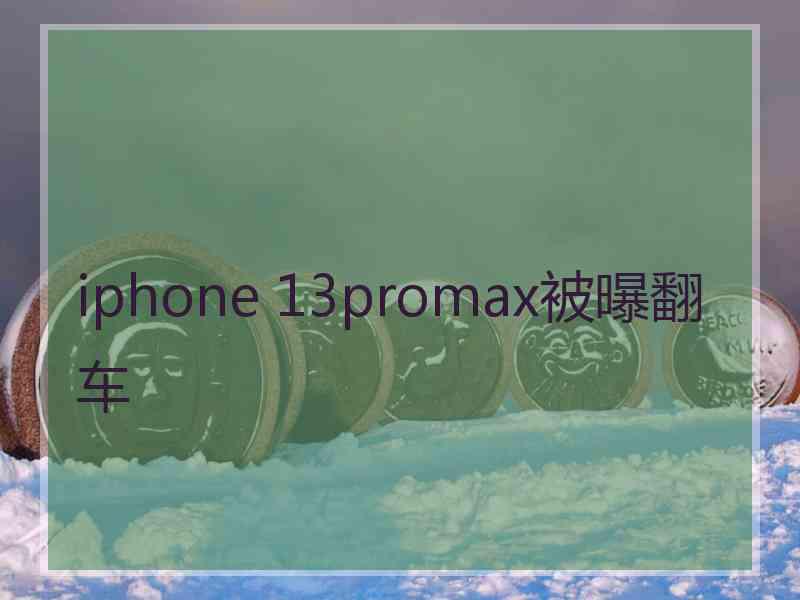 iphone 13promax被曝翻车