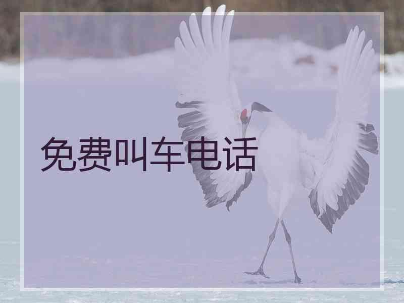 免费叫车电话