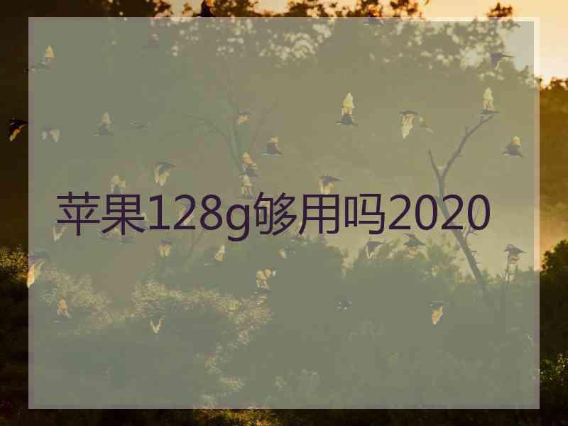 苹果128g够用吗2020