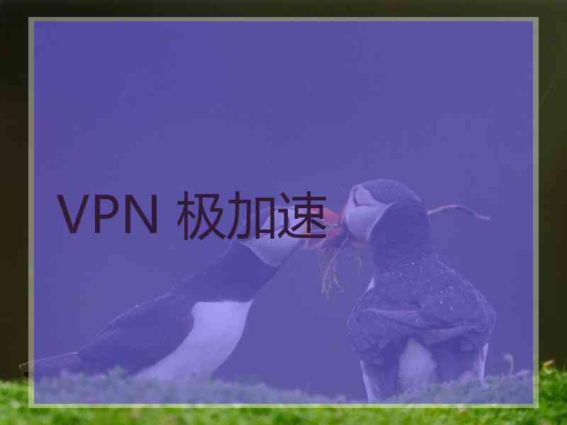 VPN 极加速
