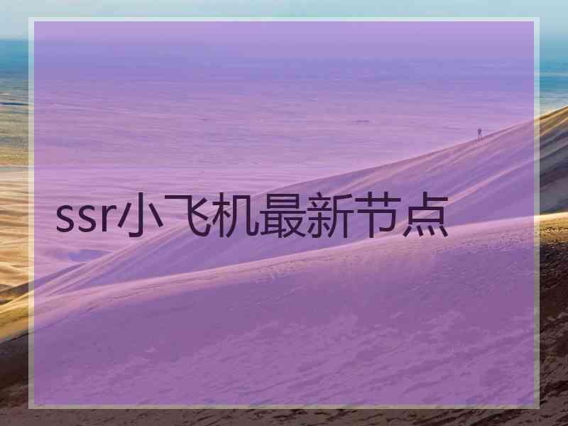 ssr小飞机最新节点