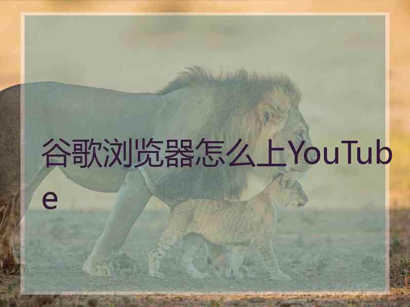谷歌浏览器怎么上YouTube