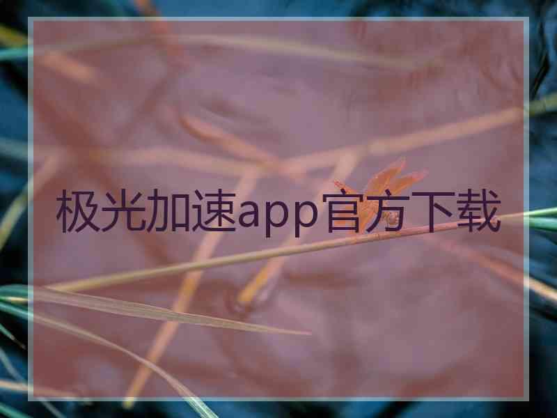 极光加速app官方下载