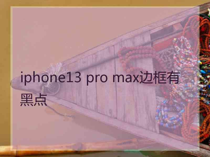 iphone13 pro max边框有黑点