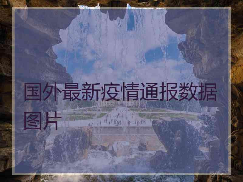 国外最新疫情通报数据图片