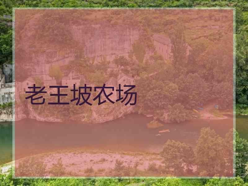 老王坡农场