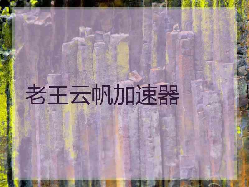 老王云帆加速器