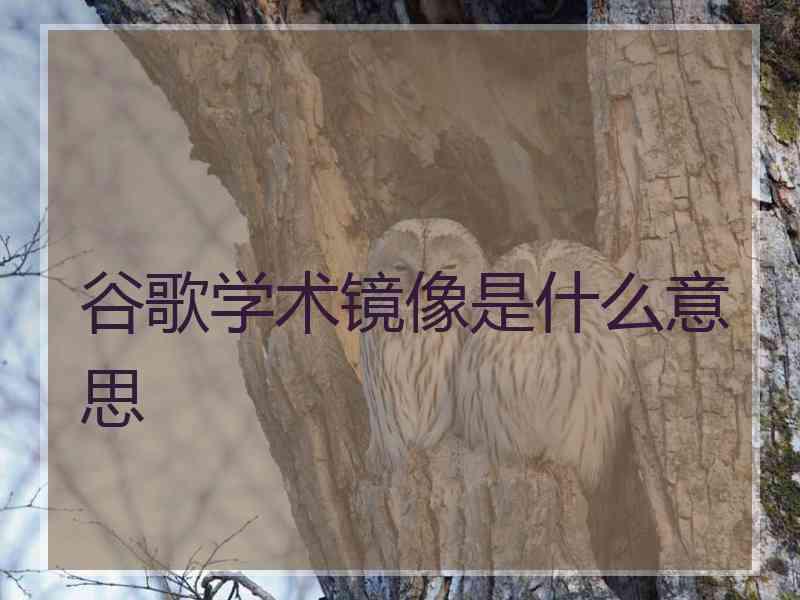 谷歌学术镜像是什么意思