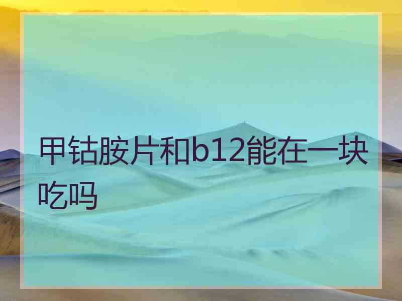 甲钴胺片和b12能在一块吃吗