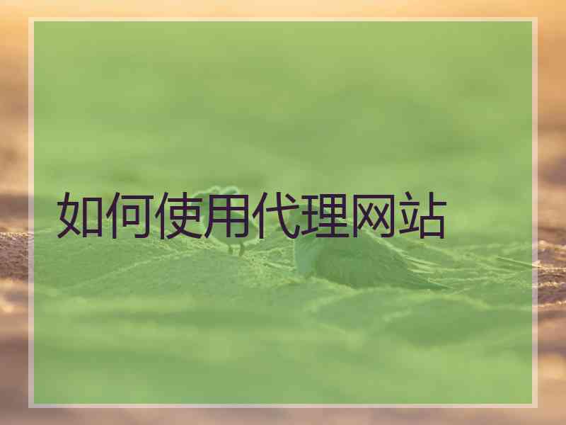 如何使用代理网站