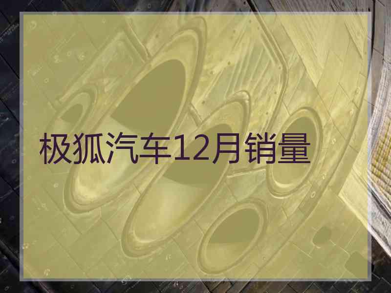 极狐汽车12月销量