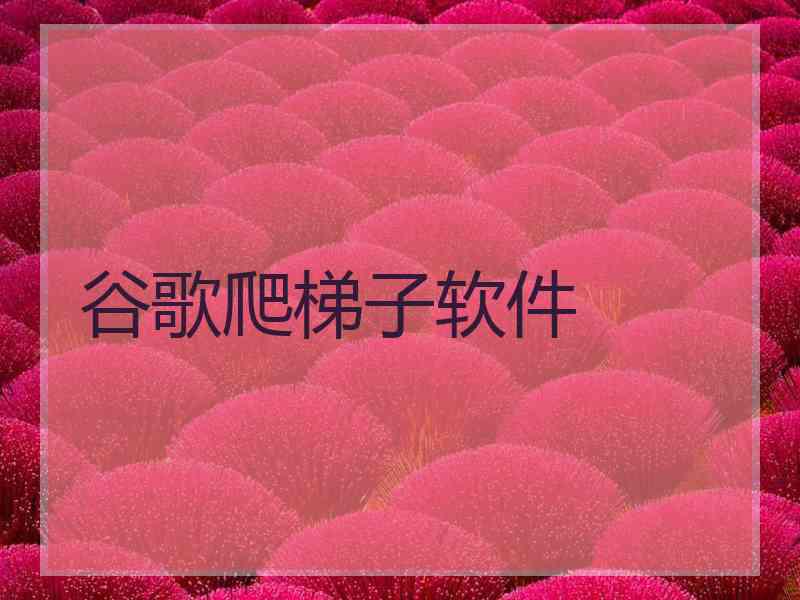 谷歌爬梯子软件