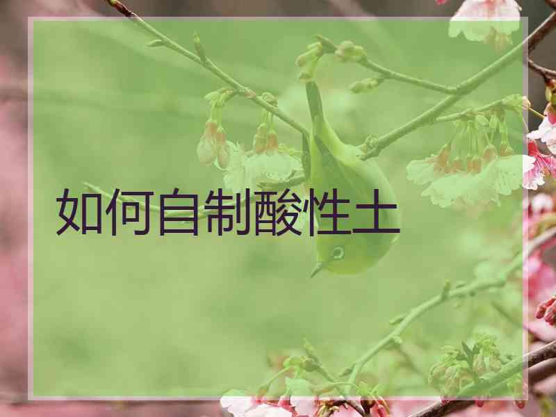 如何自制酸性土