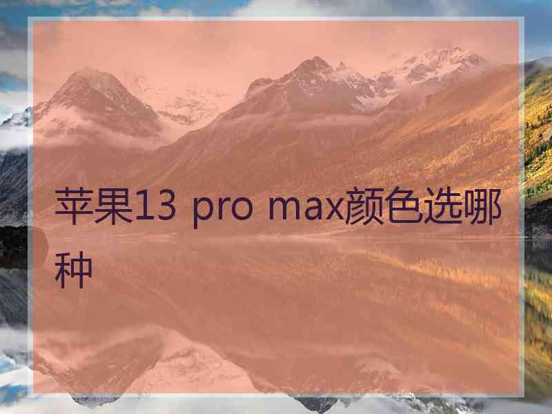 苹果13 pro max颜色选哪种