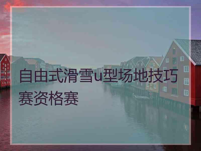 自由式滑雪u型场地技巧赛资格赛
