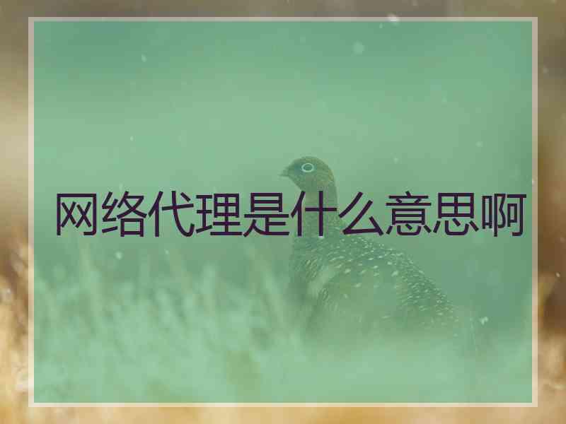 网络代理是什么意思啊
