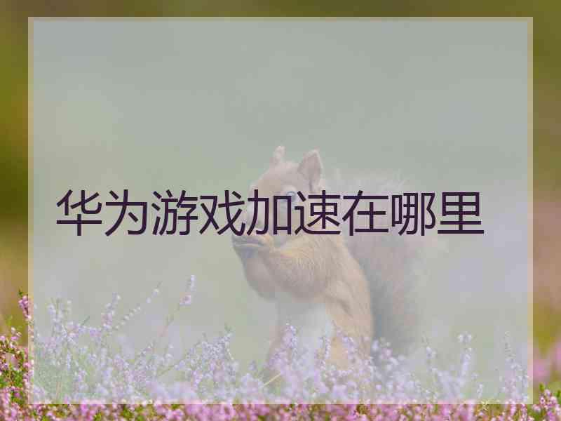 华为游戏加速在哪里