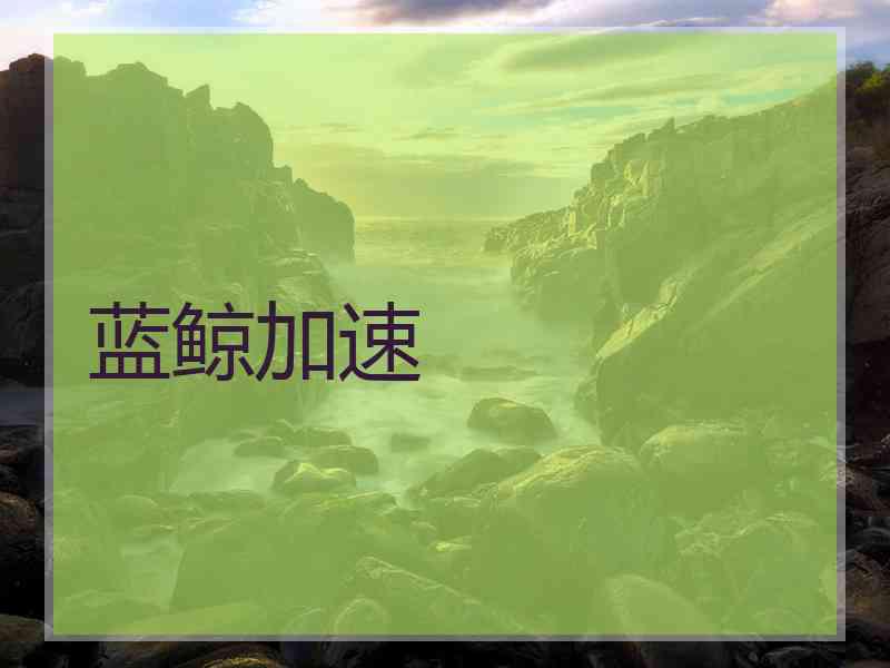 蓝鲸加速