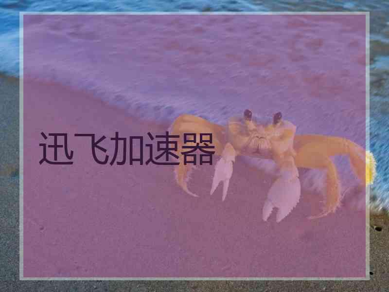 迅飞加速器