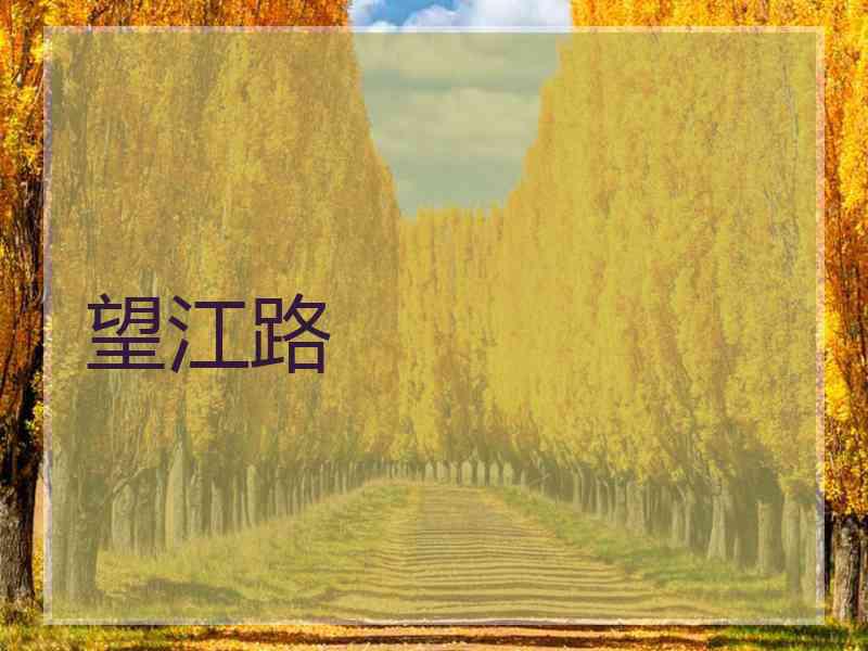 望江路