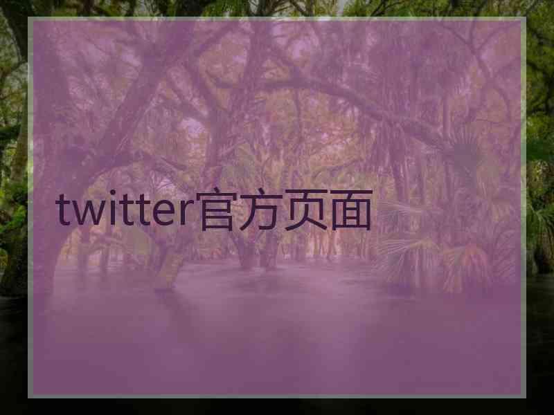 twitter官方页面