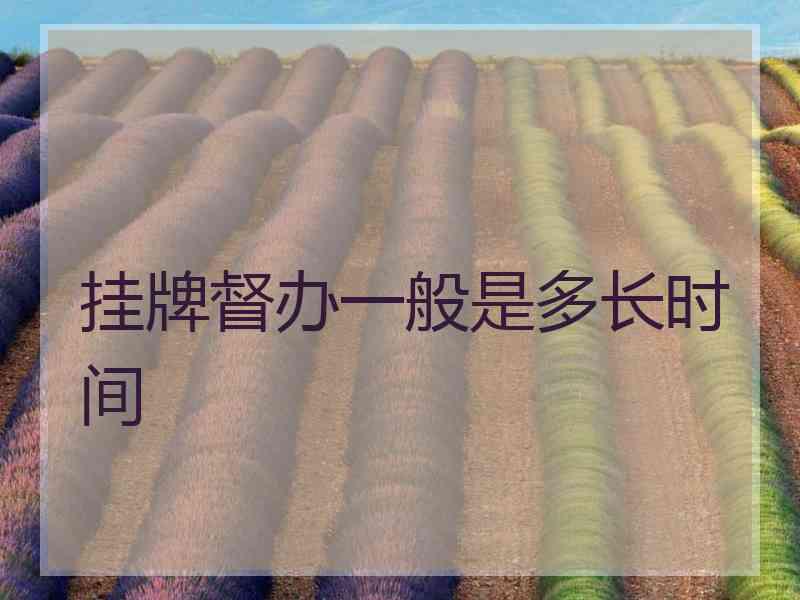 挂牌督办一般是多长时间
